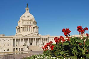 A picture of the Capitol in Washington, DC.